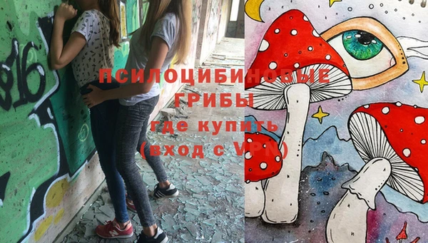 МДПВ Алексин