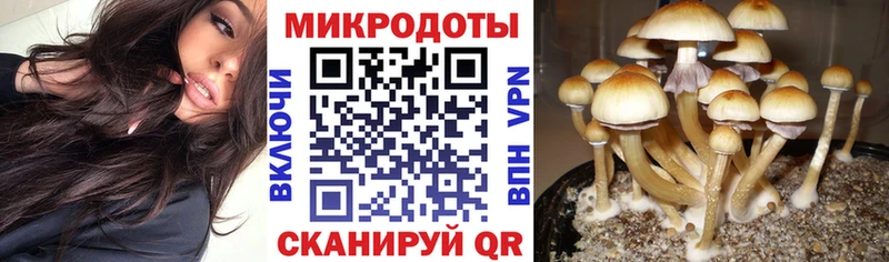 Псилоцибиновые грибы мухоморы  Нефтекамск 